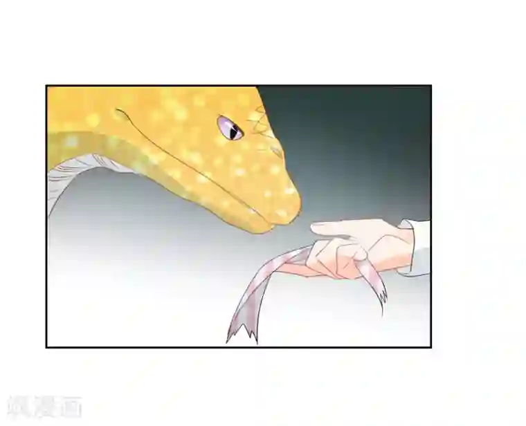 宠物情缘第59话 狂蟒危机1