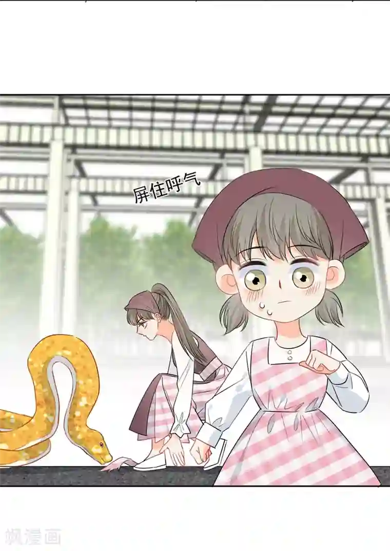宠物情缘第59话 狂蟒危机1
