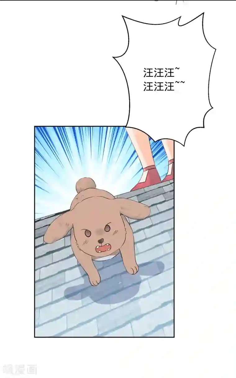 宠物情缘第59话 狂蟒危机1