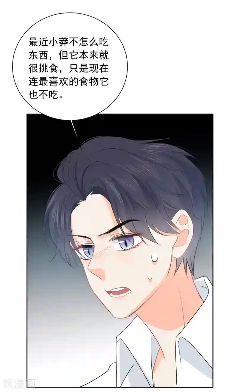 宠物情缘第60话 狂蟒危机2