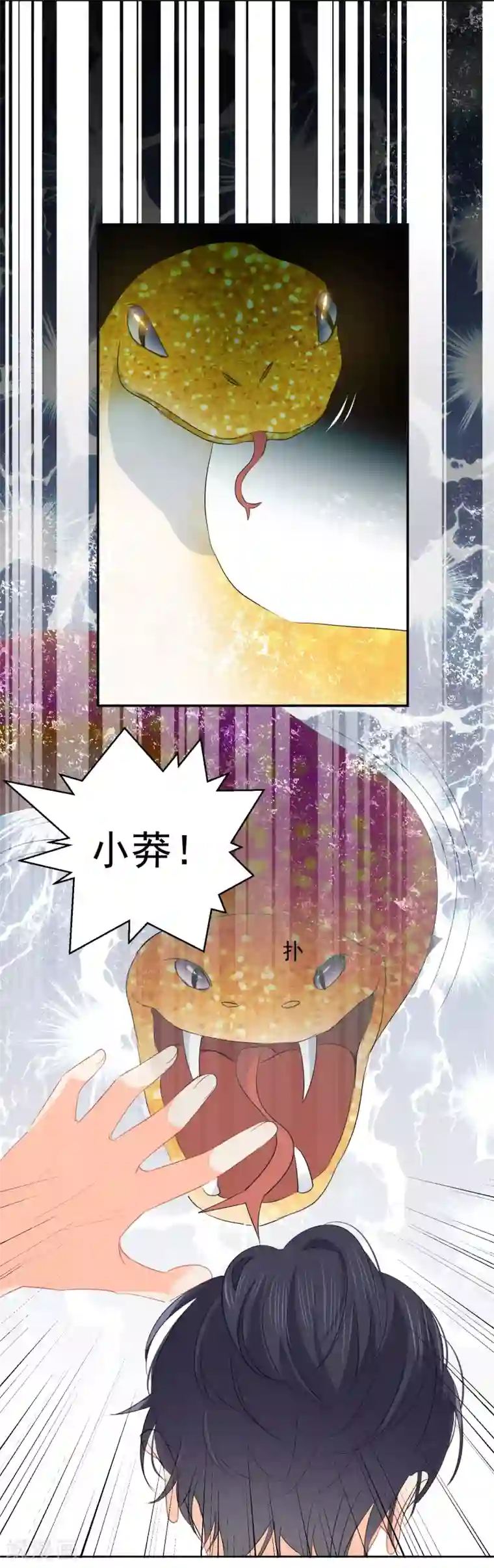 宠物情缘第60话 狂蟒危机2