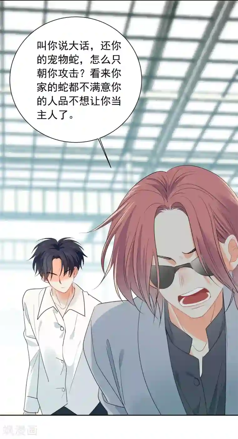 宠物情缘第60话 狂蟒危机2