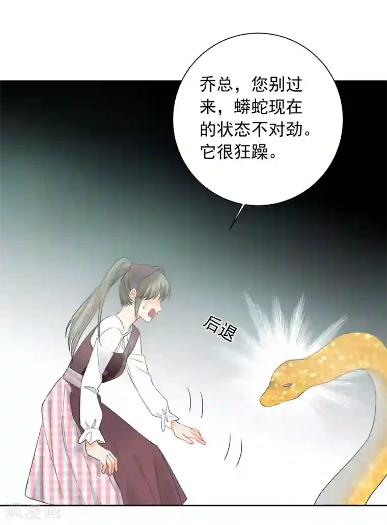 宠物情缘第60话 狂蟒危机2