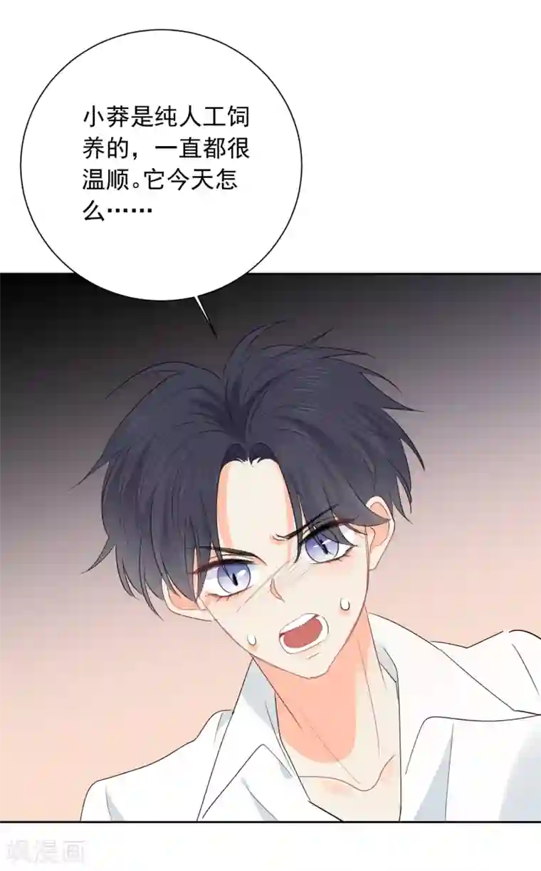 宠物情缘第60话 狂蟒危机2