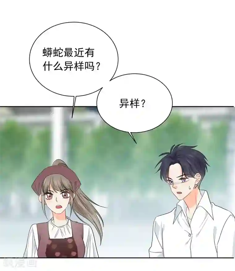 宠物情缘第60话 狂蟒危机2