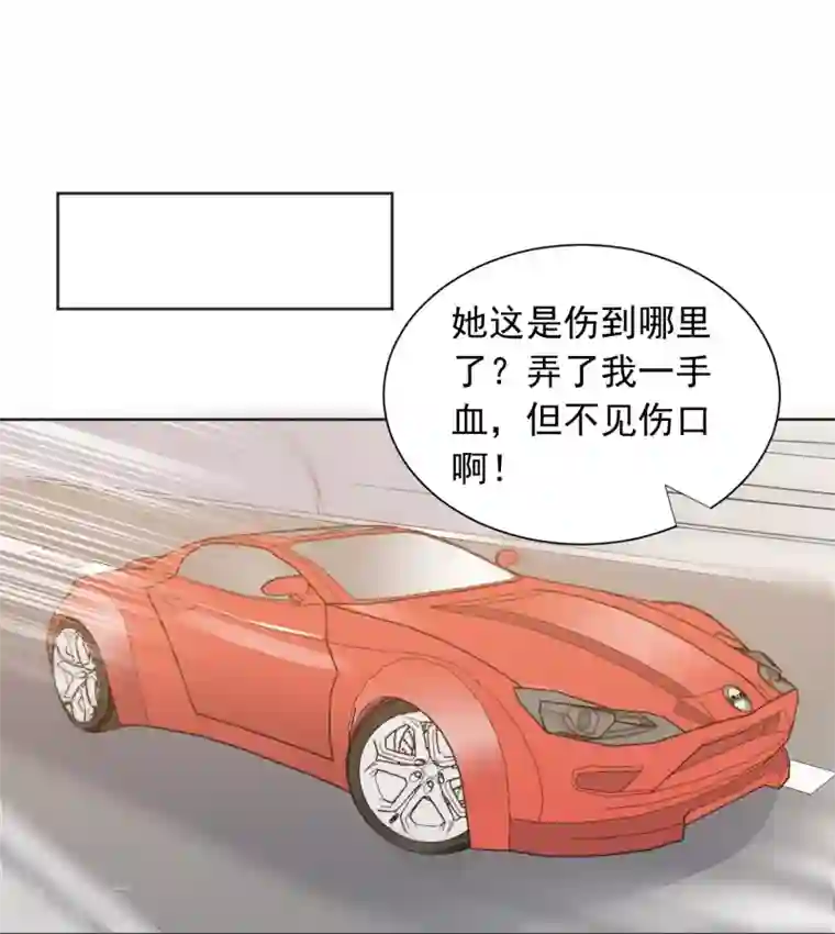 宠物情缘第62话 活着不好吗2