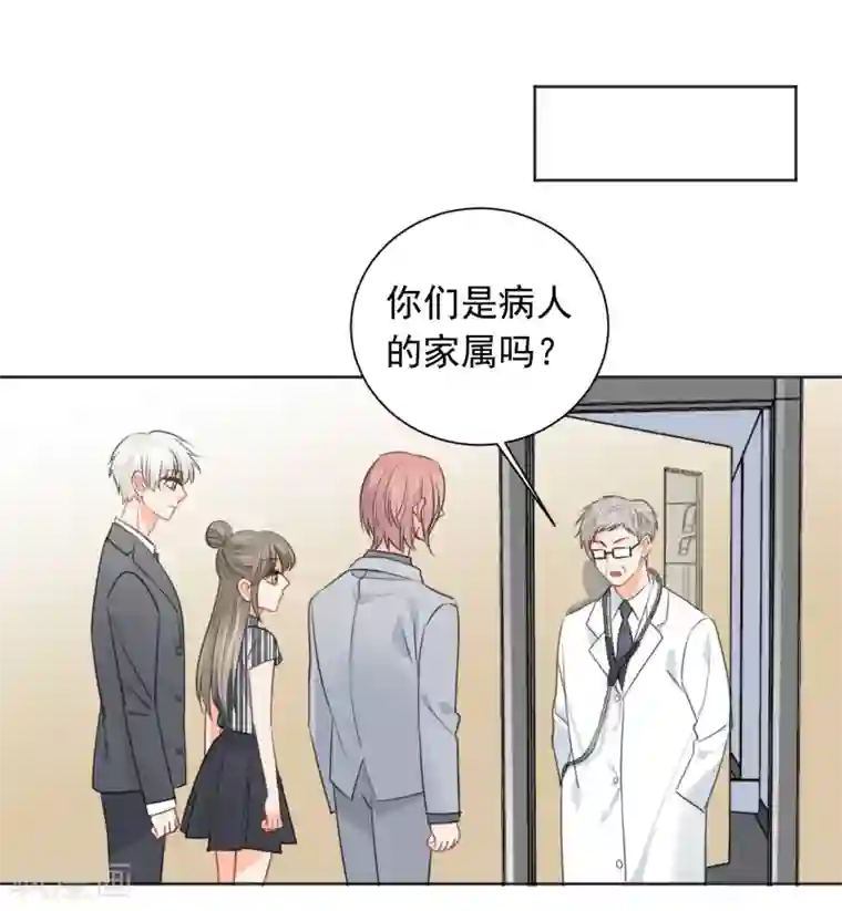 宠物情缘第62话 活着不好吗2