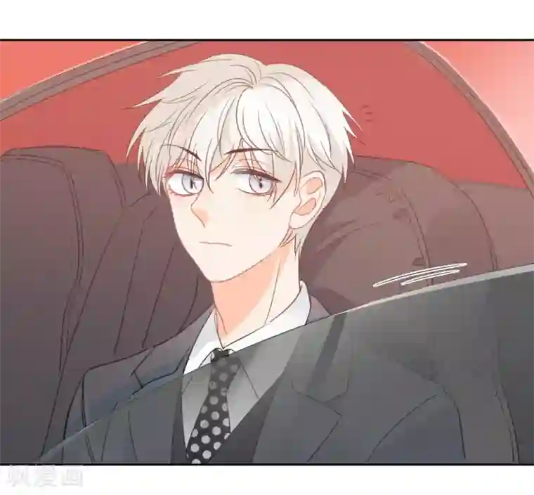 宠物情缘第66话 属于你的命定之人