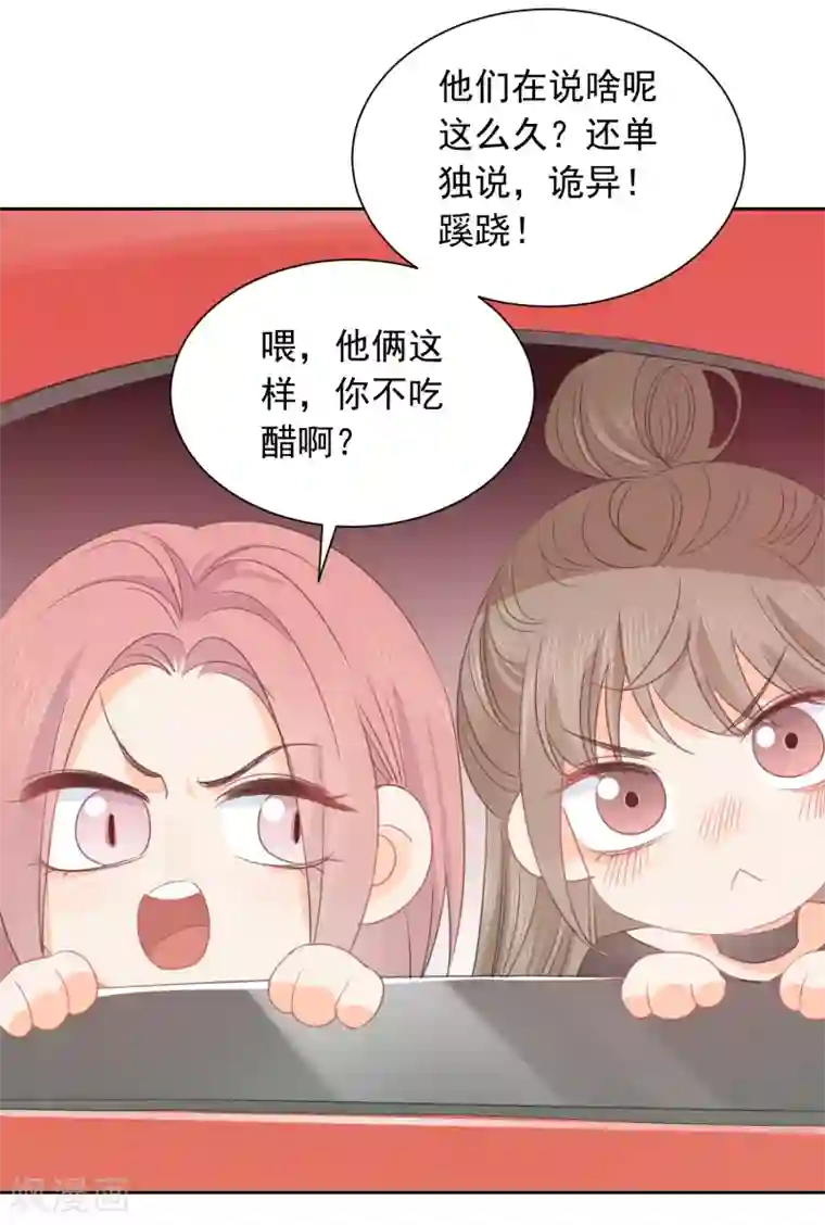 宠物情缘第66话 属于你的命定之人