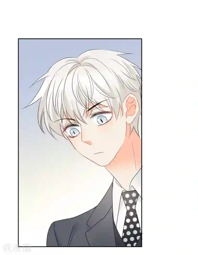 宠物情缘第66话 属于你的命定之人