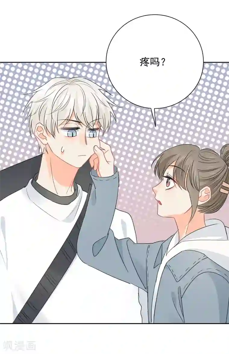 宠物情缘第67话 假期的偶遇