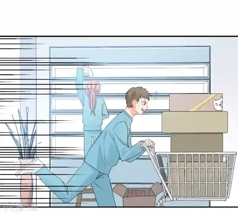 宠物情缘第67话 假期的偶遇