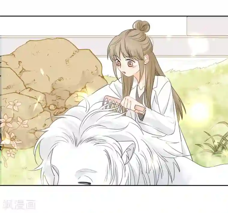 宠物情缘第67话 假期的偶遇