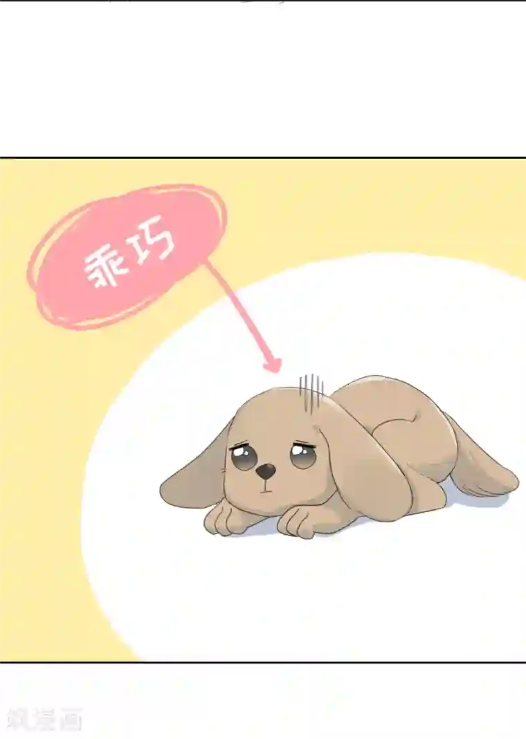 宠物情缘第69话 攻略你！