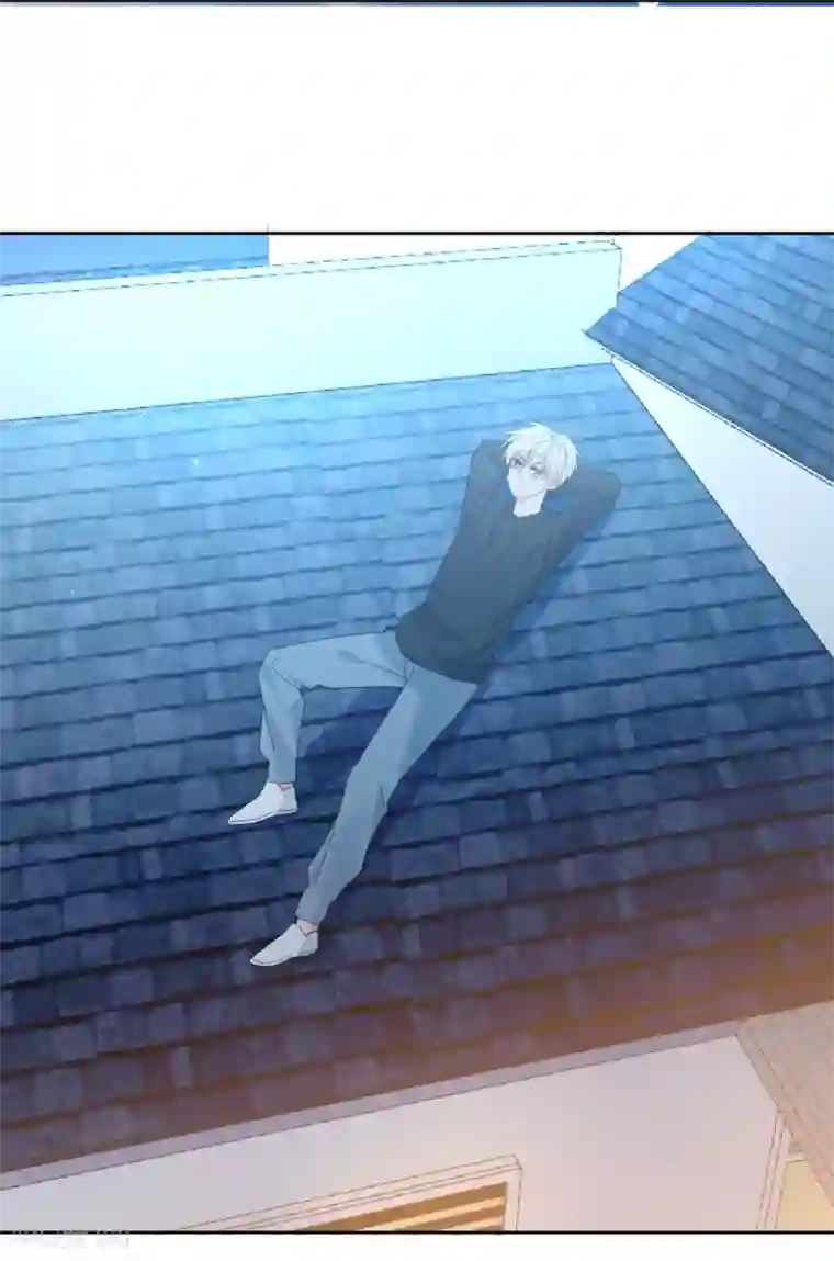 宠物情缘第69话 攻略你！