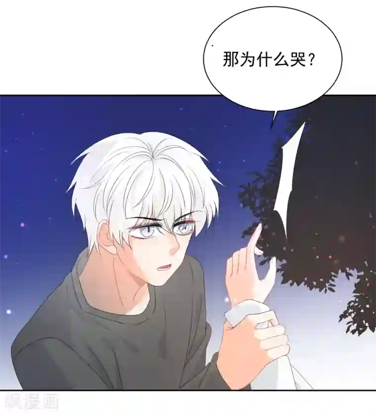 宠物情缘第71话 你只是我的暖男