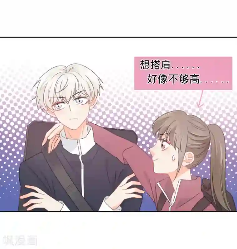 宠物情缘第71话 你只是我的暖男