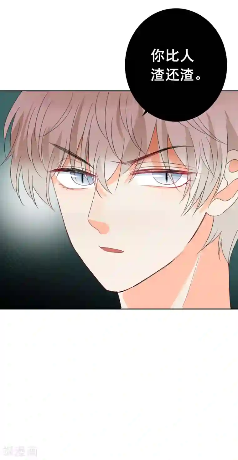 宠物情缘第73话 恶霸变人渣