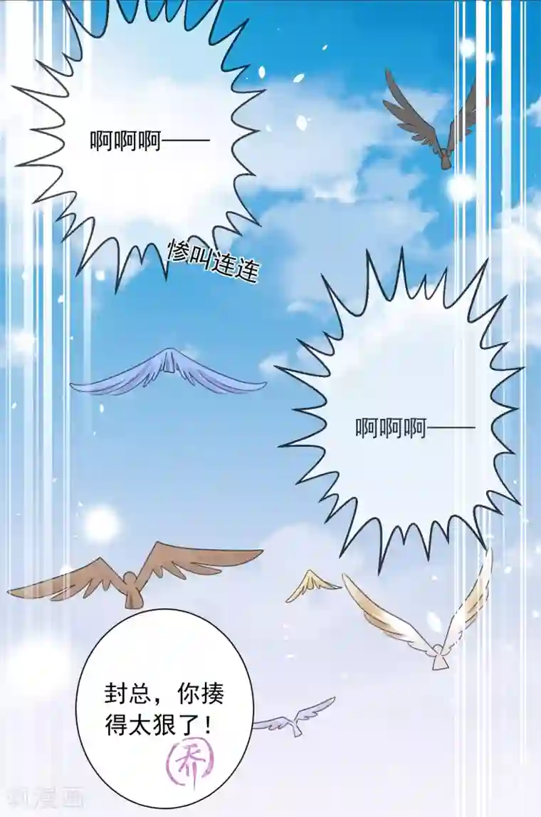 宠物情缘第74话 喜欢你，因为你！