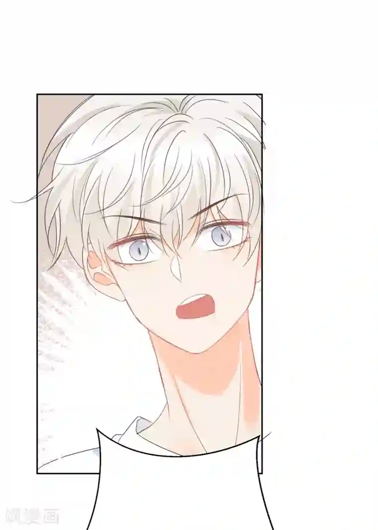 宠物情缘第74话 喜欢你，因为你！