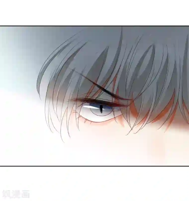 宠物情缘第74话 喜欢你，因为你！