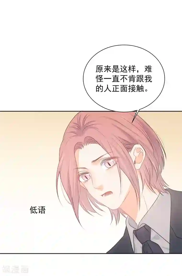 宠物情缘第75话 守护你一辈子