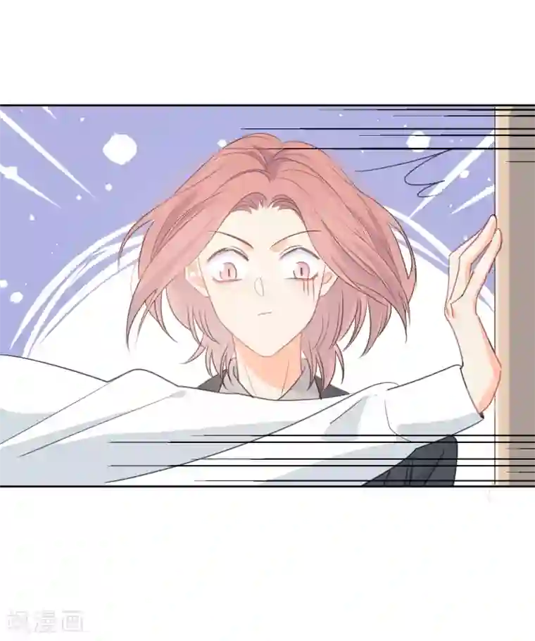 宠物情缘第75话 守护你一辈子