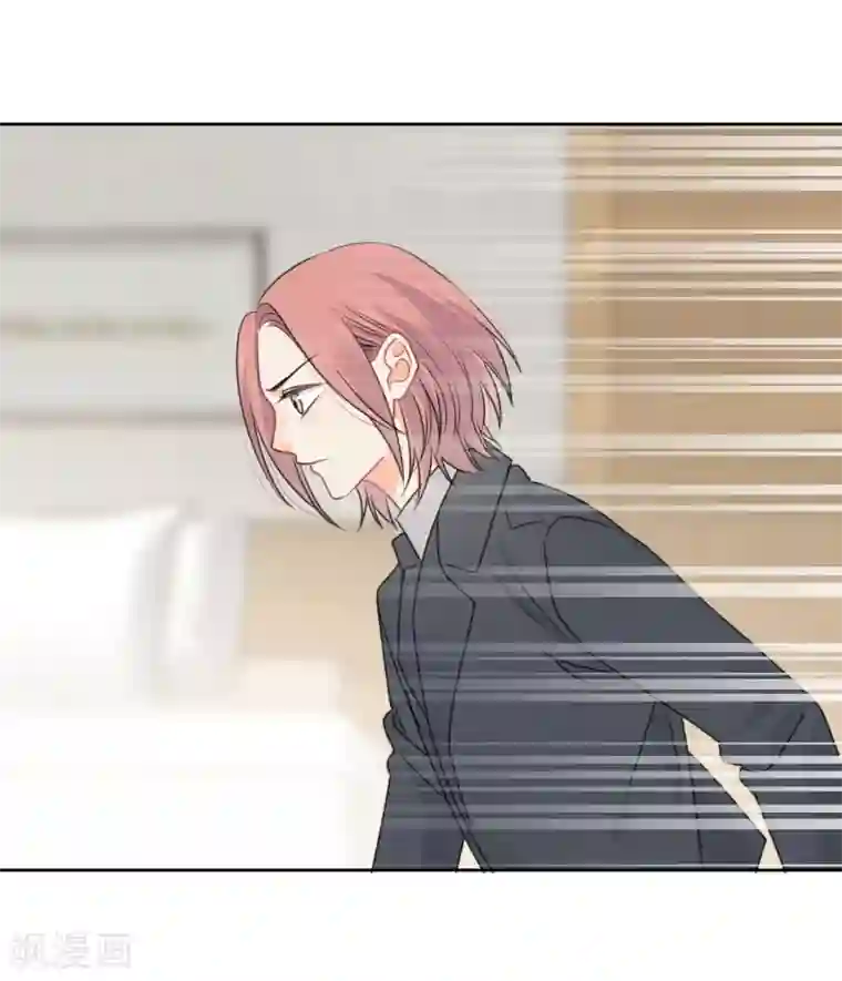 宠物情缘第75话 守护你一辈子