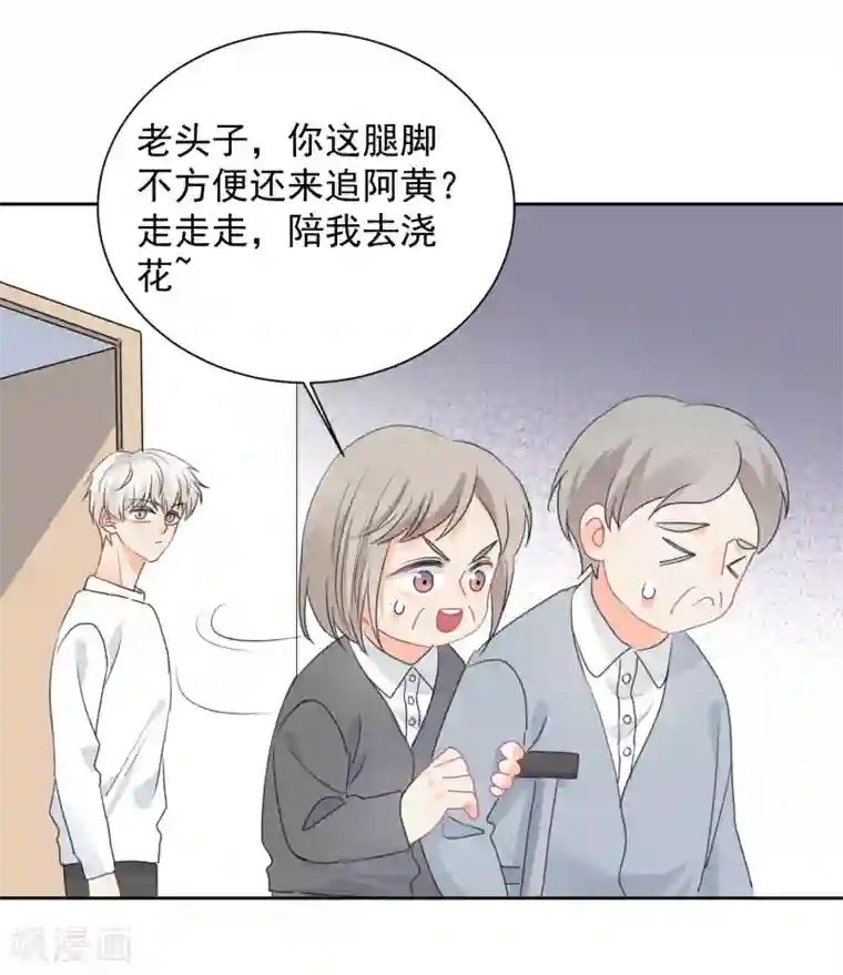 宠物情缘第75话 守护你一辈子