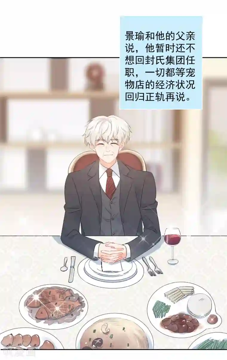 宠物情缘最终话 后来的我们只剩幸福