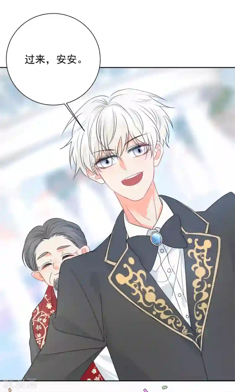 宠物情缘最终话 后来的我们只剩幸福