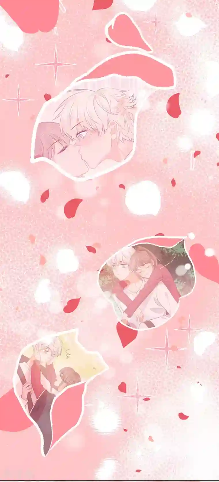 宠物情缘最终话 后来的我们只剩幸福