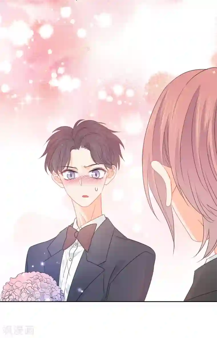 宠物情缘最终话 后来的我们只剩幸福