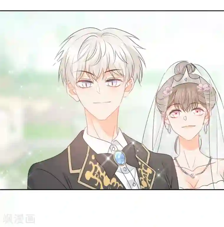 宠物情缘最终话 后来的我们只剩幸福