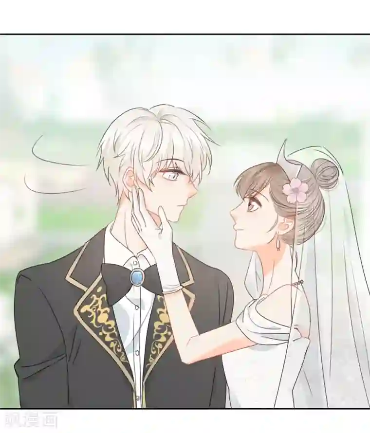 宠物情缘最终话 后来的我们只剩幸福