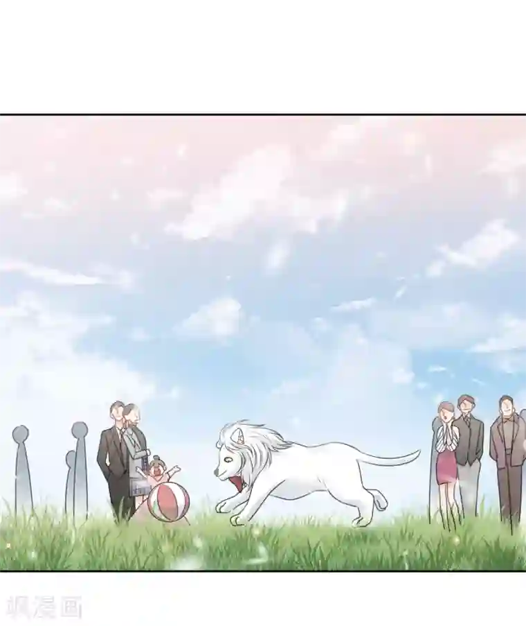 宠物情缘最终话 后来的我们只剩幸福