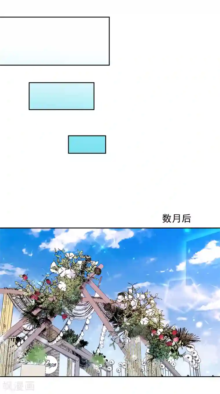 宠物情缘最终话 后来的我们只剩幸福