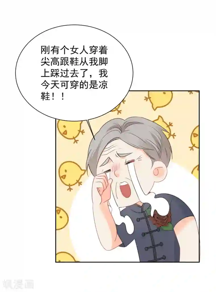 宠物情缘最终话 后来的我们只剩幸福