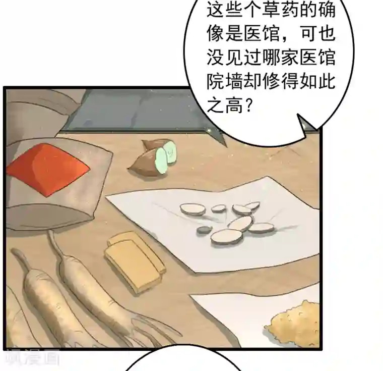 盛宠之锦绣征途第75话 神医躲猫猫