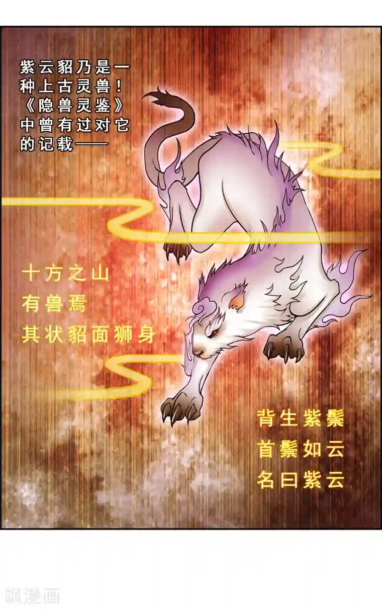 解离妖圣第19话 紫云貂