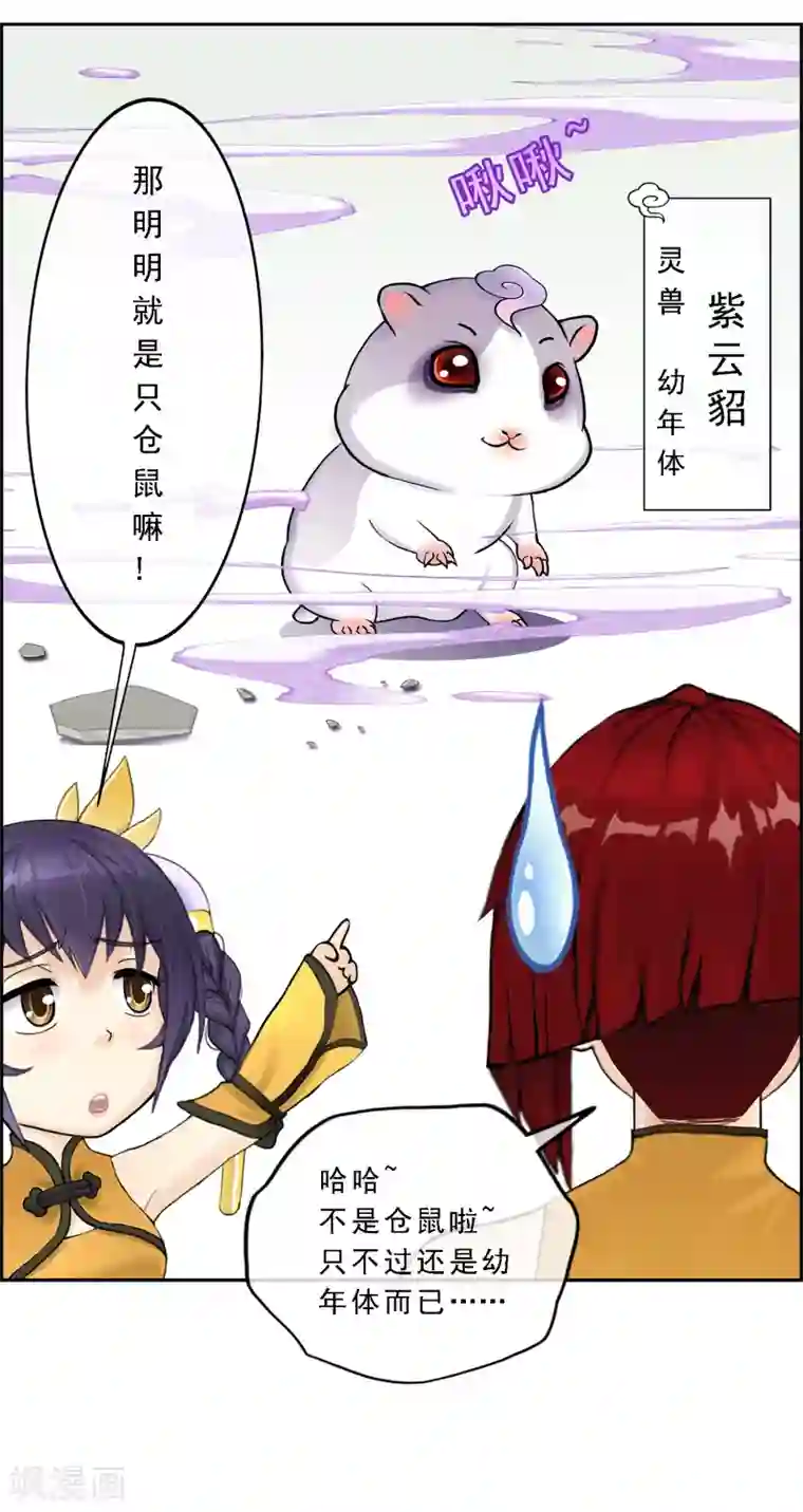 解离妖圣第19话 紫云貂
