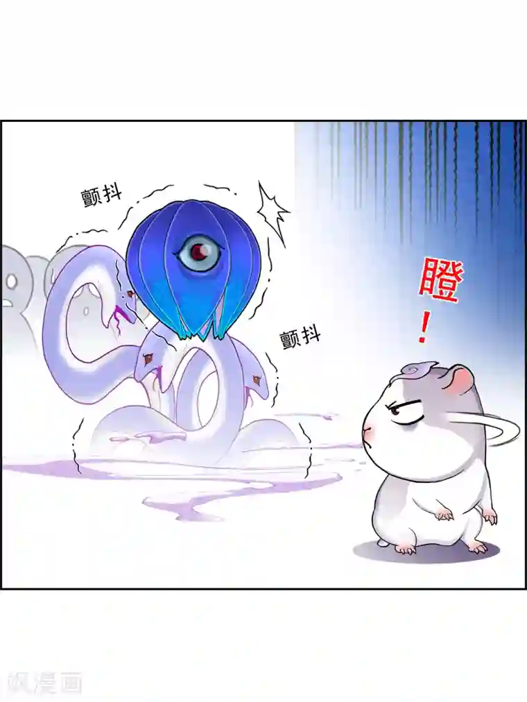 解离妖圣第19话 紫云貂