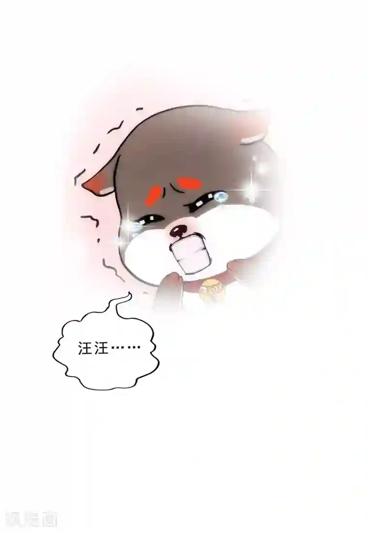 解离妖圣1月13日请假条
