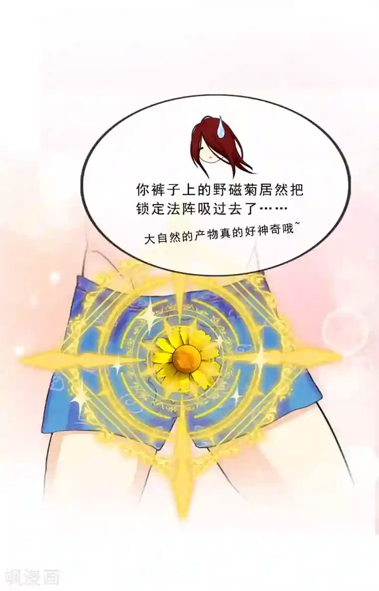 解离妖圣第163话 野磁菊