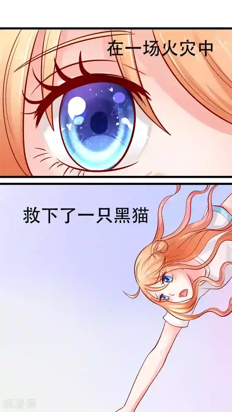 铲屎官也要谈恋爱前言