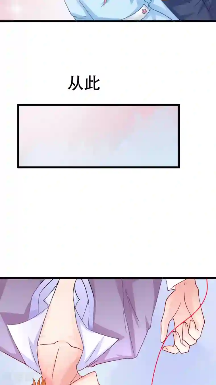 铲屎官也要谈恋爱前言