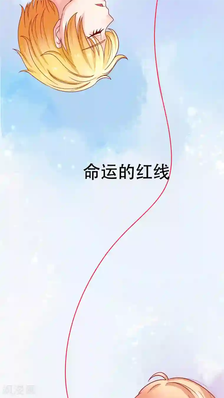 铲屎官也要谈恋爱前言