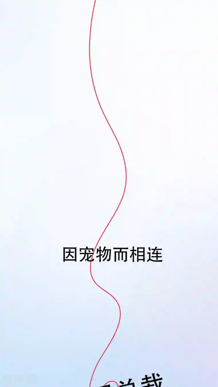 铲屎官也要谈恋爱前言