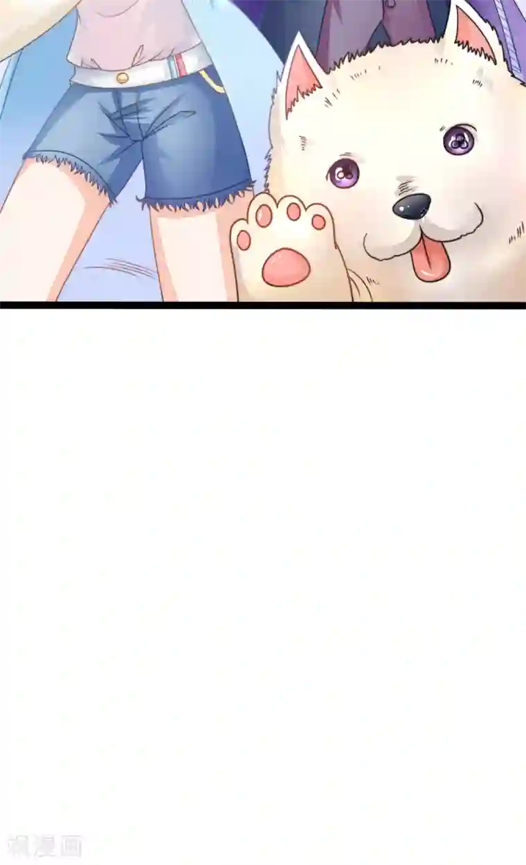 铲屎官也要谈恋爱前言