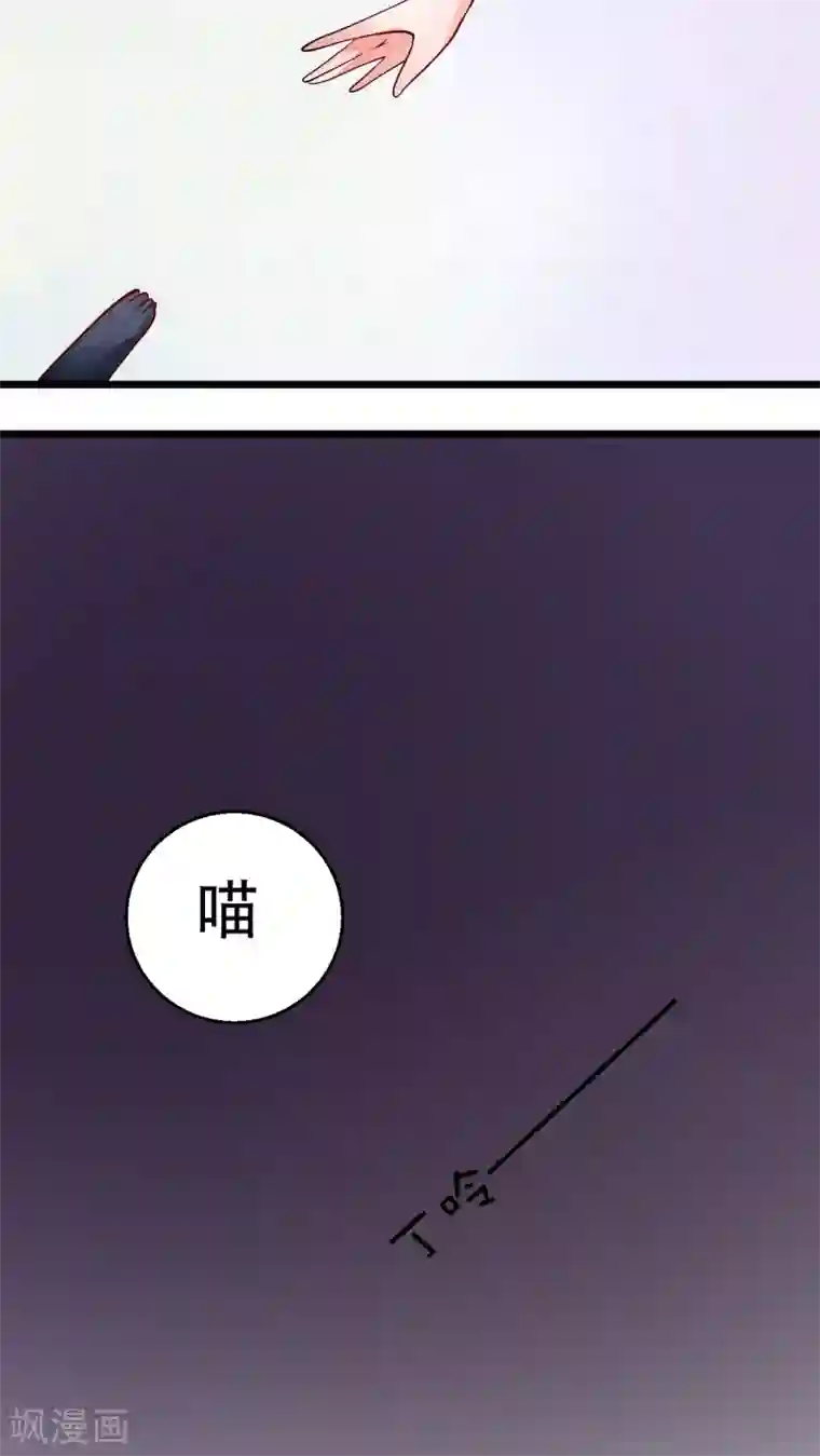 铲屎官也要谈恋爱前言